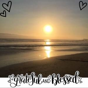 Meet your Posher, Nora